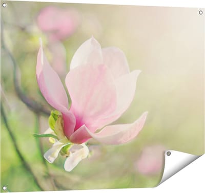 Gards Tuinposter Roze Magnolia Bloem - 100x80 cm - Tuindoek - Tuindecoratie - Wanddecoratie buiten - Tuinschilderij