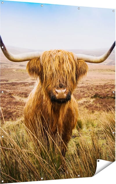 Gards Tuinposter Schotse Hooglander Koe in het Veld - 120x160 cm - Tuindoek - Tuindecoratie - Wanddecoratie buiten - Tuinschilderij