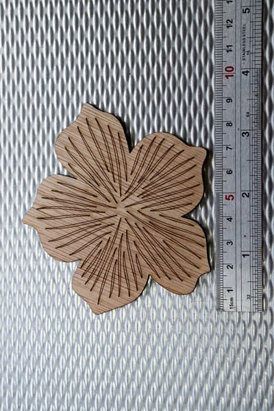 set houten onderzetters met bloemmotief in houder