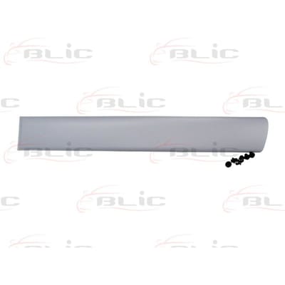 Sier- / beschermingspaneel, carrosserie BLIC 5703-04-0550577P links