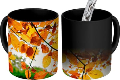 Magische Mok - Foto op Warmte Mokken - Koffiemok - Herfstbladeren - Boom - Landelijk - Magic Mok - Beker - 350 ML - Theemok