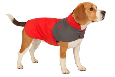 Hondenjas – Regenjas hond – Water- en winddichte hondenregenjas met fleece – Flamingo Regenjas Juno Rood – 55 cm