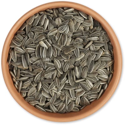 CJ Wildlife 10kg Gestreepte Zonnebloempitten voor Vogels - Zonnepitten voor Vogels - Vogelvoer voor Buitenvogels - Tuinvogelvoer voor Voedertafel of Voedersilo - Uit Duitsland