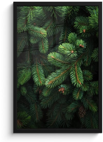 Poster in lijst - Fotolijst 40x60 cm - Posters - Sparrentakken - Knoppen - Naalden - Groen - Posterlijst zwart - Decoratie - Wanddecoratie woonkamer - Muurdecoratie slaapkamer