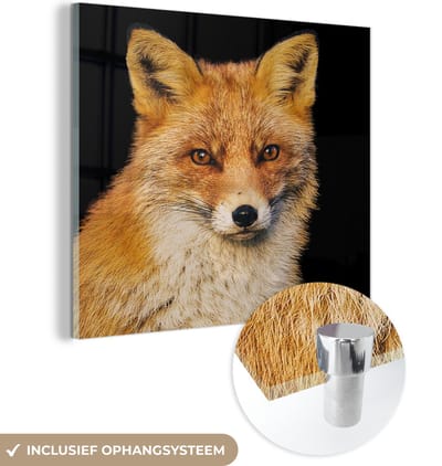 MuchoWow® Glasschilderij 50x50 cm - Schilderij acrylglas - Vos - Rood - Zwart - Foto op glas - Schilderijen