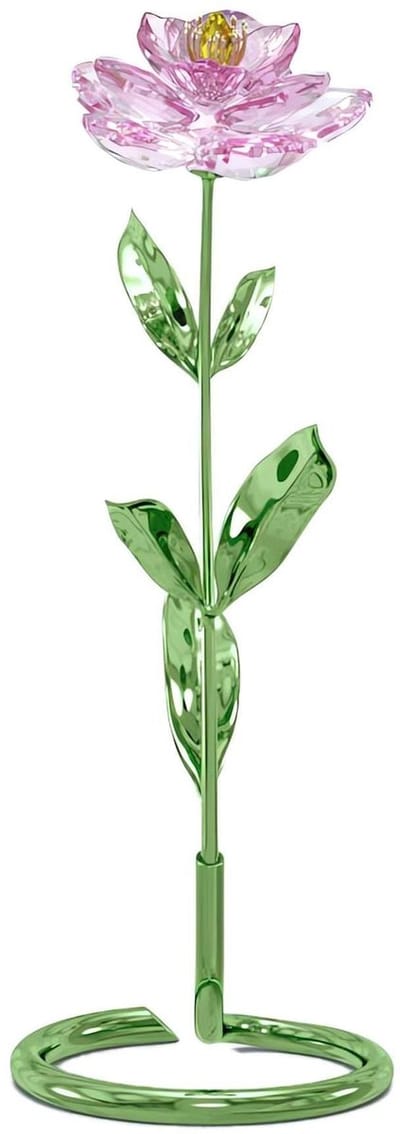 Swarovski beeldje Florere Pioenroos 5668065 | decoratie voor interieur en collectie, elegante kristal uitstraling met roze bloemenstijl