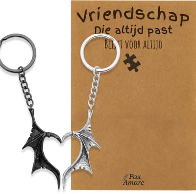 BFF Sleutelhanger voor 2 'Vriendschap die altijd past' - Vleugels Hart - Sleutelhanger set op Cadeau Kaartje - Zilverkleurig & Zwart - Vriendschap Symbool - Pax Amare