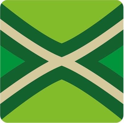 Achterhoekse vlag bierviltjes van karton - 15x stuks - glasonderzetters - Gelderland - thema versiering