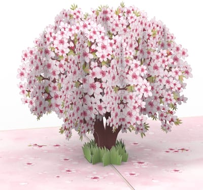 Dailygoods- Pop-upkaart 3D - Wenskaart Kersenbloesems - Verjaardagscadeau - Vrouw/Vriendin - Bijzondere Momenten - Magische Papierkunst