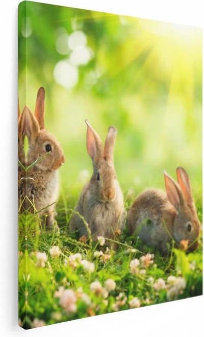 Artaza Canvas Schilderij Konijnen In Het Gras - 30x40 cm - Klein - Wanddecoratie Woonkamer - Muurdecoratie Bloemen - Kamer Accessoires