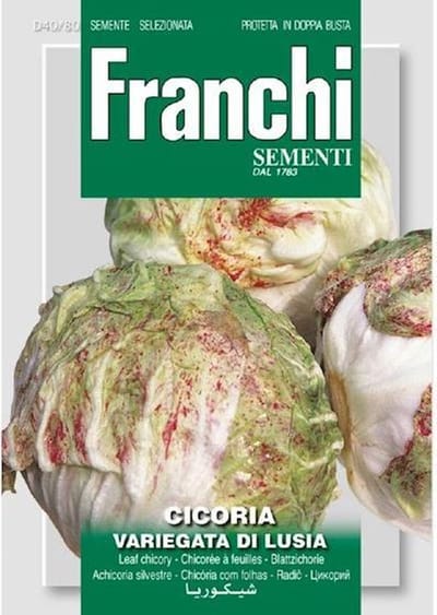 Franchi - Cichorei, Cicoria var.di Lusia 40/80