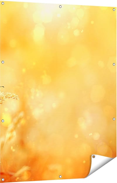 Gards Tuinposter Oranje Vlinder in het Oranje Veld - 90x120 cm - Tuindoek - Tuindecoratie - Wanddecoratie buiten - Tuinschilderij