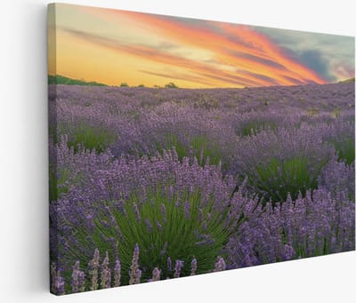 Saammp Muurcirkel Hout - Blauwe Kolibrie - Natuur - Dieren- Ø 90 - Wandcirkel - Wanddecoratie Cirkel - Muurdecoratie Woonkamer - Slaapkamer decoratie - Rond Schilderij