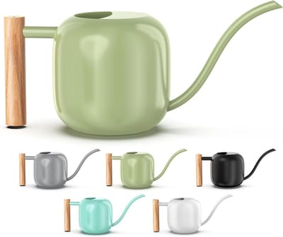 Green Moon Gieter, kamerplanten, 1,2 l, saliegroen, voor binnen, metaal, kleine waterkan met lange uitloop voor huis, bonsai, planten, tuin, bloem, decoratief
