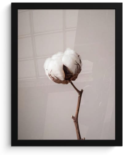 Poster in lijst - Fotolijst 30x40 cm - Posters - Katoenbol - Minimalistisch - Wit - Posterlijst zwart - Decoratie - Wanddecoratie woonkamer - Muurdecoratie slaapkamer