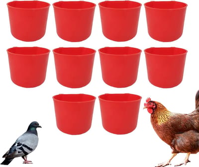 Waterbak Kippen - Vogel Voederbak - Dieren Voeden - Weerbestendig ABS - 8 oz Capaciteit - Rood