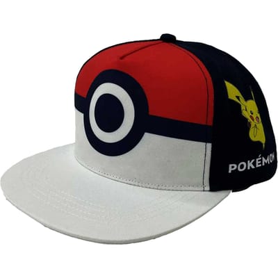 Pokemon pet