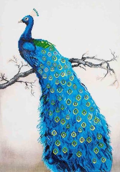 Diamond Painting Pauw - Facetkunst pakket 60x84 cm voor ontspanning