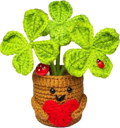 Emotionele Ondersteunende Plant als Geschenk voor Vrouwen en Mannen, Positieve Bloem voor Kerst, Verjaardag en Bedankjes voor Vrienden, Collega's en Familie