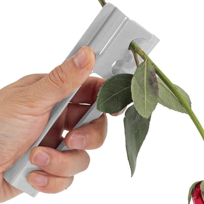 Rozen Doorn Verwijderaar - Bloemen Doorn Stripper - Bloemen Schikken - Dubbele Efficiëntie - 1 Stuk - Zilver