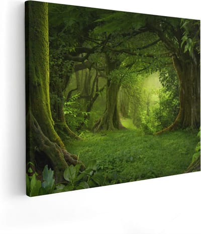 Artaza Canvas Schilderij Bos - 100x80 cm - Groot - Wanddecoratie Natuur - Muurdecoratie Bomen - Schilderijen Op Canvas Landschap