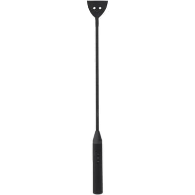 Hidden Desire Extreme Elektro Riding Crop