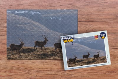 Puzzel Herten in de Schotse hooglanden in het Nationaal park Cairngorms - Legpuzzel - Puzzel 1000 stukjes volwassenen