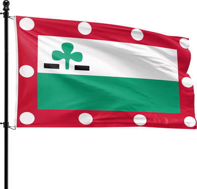 VlagDirect - Meppel vlag - Gemeente Meppel vlag - 90 x 150 cm.