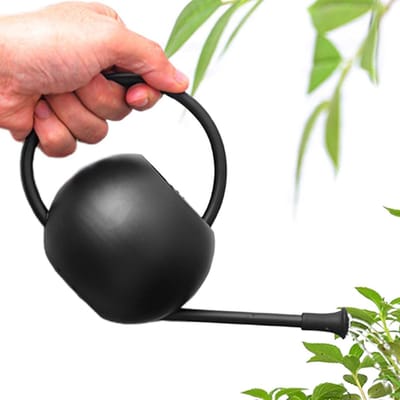 Plantenwaterkan Roestvrij Staal - Gieter Bloemenzak - Binnenplanten Water Geven - Elegante Lange Tuit - 400 ml - Zwart