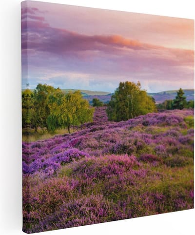 Artaza Canvas Schilderij Heide - 30x30 cm - Klein - Wanddecoratie Landschap - Muurdecoratie Bos - Kamer Accessoires Natuur