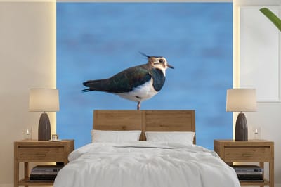 Behang - Fotobehang Vogel - Dieren - Paal - Blauw - Kievit - Breedte 240 cm x hoogte 240 cm