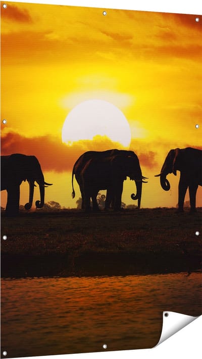 Gards Tuinposter Silhouet Olifanten tijdens Zonsondergang - 100x150 cm - Tuindoek - Tuindecoratie - Wanddecoratie buiten - Tuinschilderij