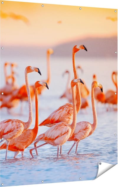 Gards Tuinposter Kudde Flamingo's in het Water - 120x160 cm - Tuindoek - Tuindecoratie - Wanddecoratie buiten - Tuinschilderij