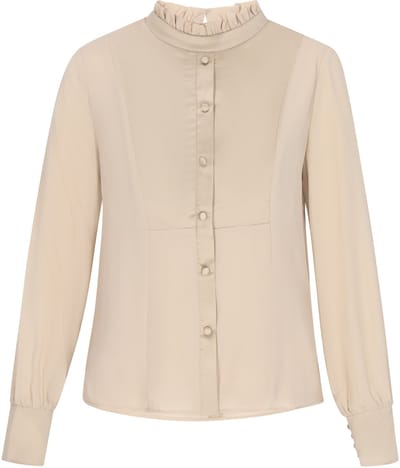 usha Blouse