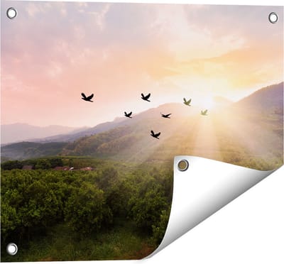 Gards Tuinposter Silhouet Zwerm Vogels bij Zonsondergang - 50x40 cm - Tuindoek - Tuindecoratie - Wanddecoratie buiten - Tuinschilderij