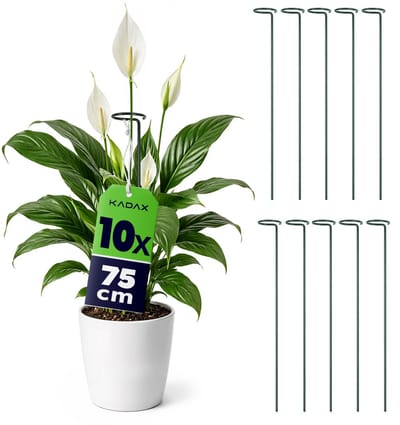 KADAX Plantensteun met oog 75 cm, stalen plantenstok, ring 6 cm, bloemensteun, groen, tuin, 10 st.