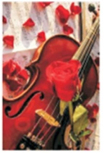 Diamond painting 40x50cm - viool - ronde steentjes