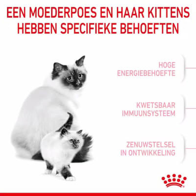 Royal Canin - Mother & Babycat Kattenvoer - 4 x 4 kg