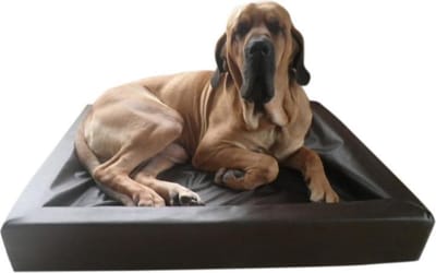 Topmast Loungebed Hondenkussen Leatherlook Zwart  60x50cm