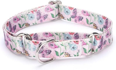 Verstelbare Nylon Martingale Halsband - Heavy Duty voor Honden (XL: 53-62 cm)