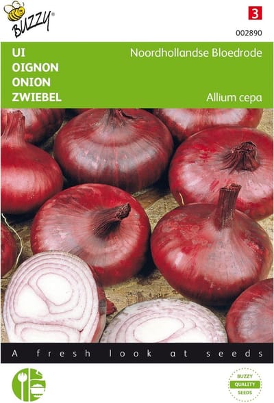 Uien Noordhollandse Bloedrode - Allium cepa