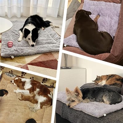 RFWR® Zelfverwarmend Huisdier Bed voor Honden en Katten - Zacht en Warm Pluche Kussen voor Binnen en Buiten