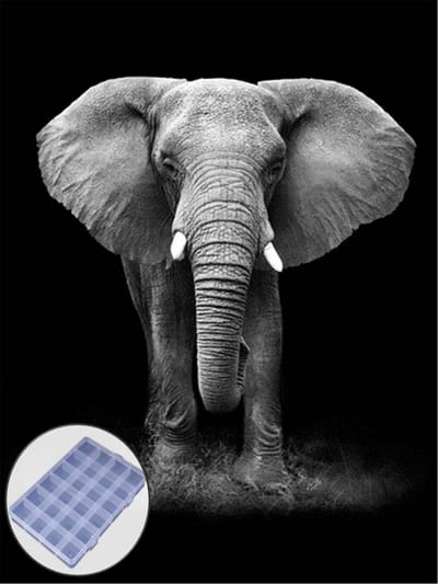 BJoy Diamond Painting 50x40 - Olifant Dieren