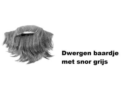 Dwergen baardje met snor grijs - Dwerg Sneeuwitje festival thema feest party fun