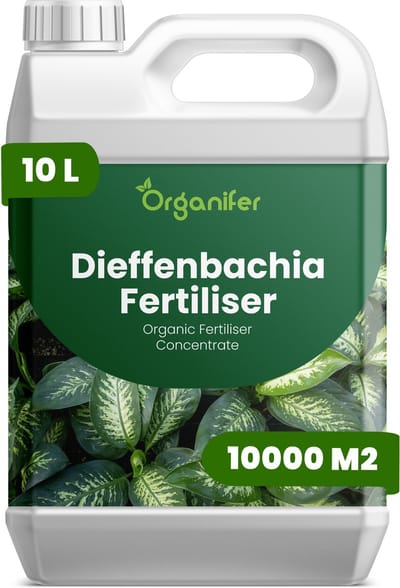 Vloeibare Meststof Voor Dieffenbachia 10 L Voor 10000 M2 - Npk 3-4-3 - Krachtige Groei - Sterke Bladontwikkeling - Sterke Stengels - Weerstand - Bladvernieuwing - Geschikt Voor Alle Dieffenbachia-Soorten En Hybriden - Organifer