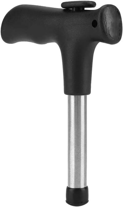 Coconut Opener - RVS Anti-Roest Fruit Corer - Pitter - Zaadverwijderaar voor Dadelhaw Fruit
