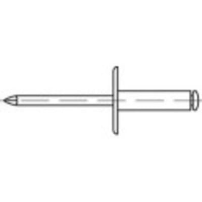 TOOLCRAFT 160163 Open popnagel (Ø x l) 5 mm x 30 mm Aluminium Staal 100 stuk(s)