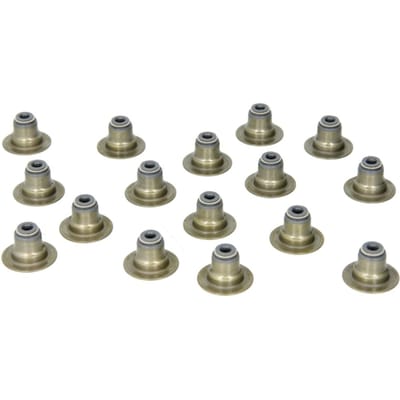 Victor Reinz Pakkingset, klepsteel REINZ 12-53438-02
