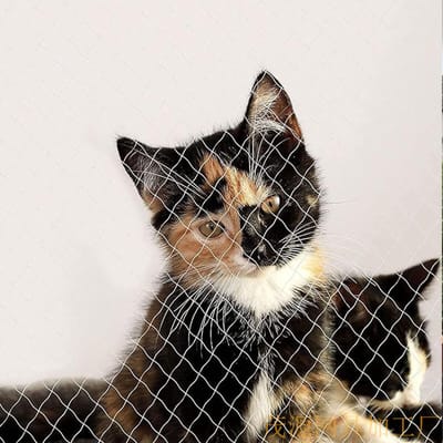 Kattennet - Net voor katten - 800cmx300cm - Voor balkon of raam - Kattengaas - Kattennet voor Balkon - Inclusief Complete Bevestigingsset - Nylon - wit