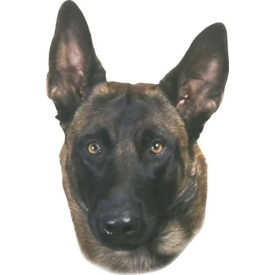 Sticker Nobby Pet Malinois